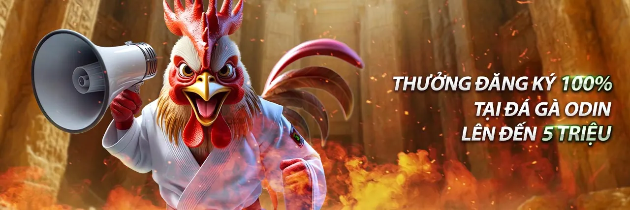 Đội ngũ chuyên gia Win2026VN làm việc trong môi trường văn phòng hiện đại