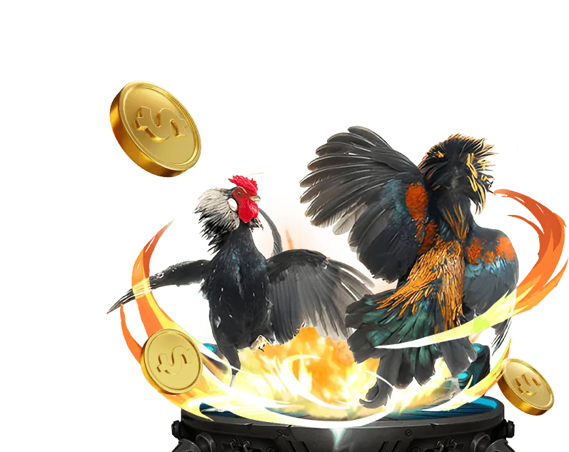 Cá cược bóng đá trực tiếp