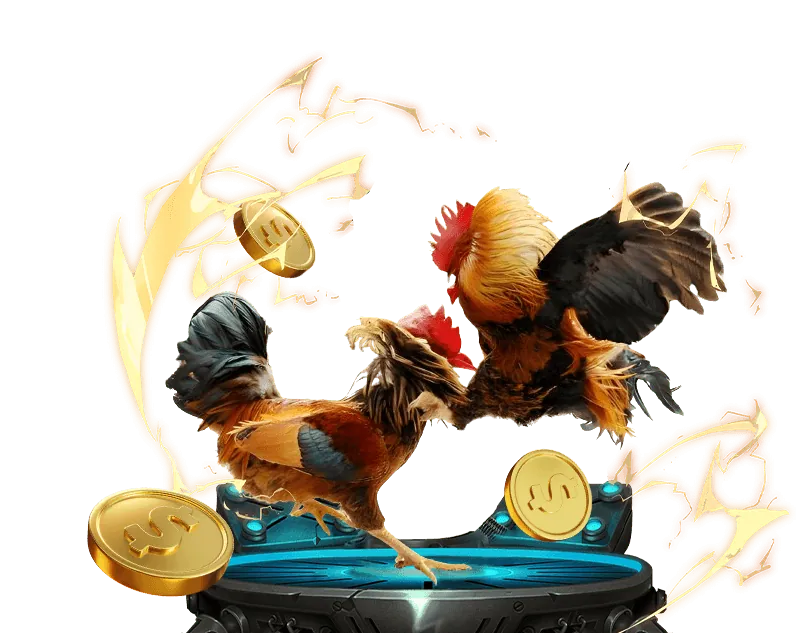 Quản lý tài khoản